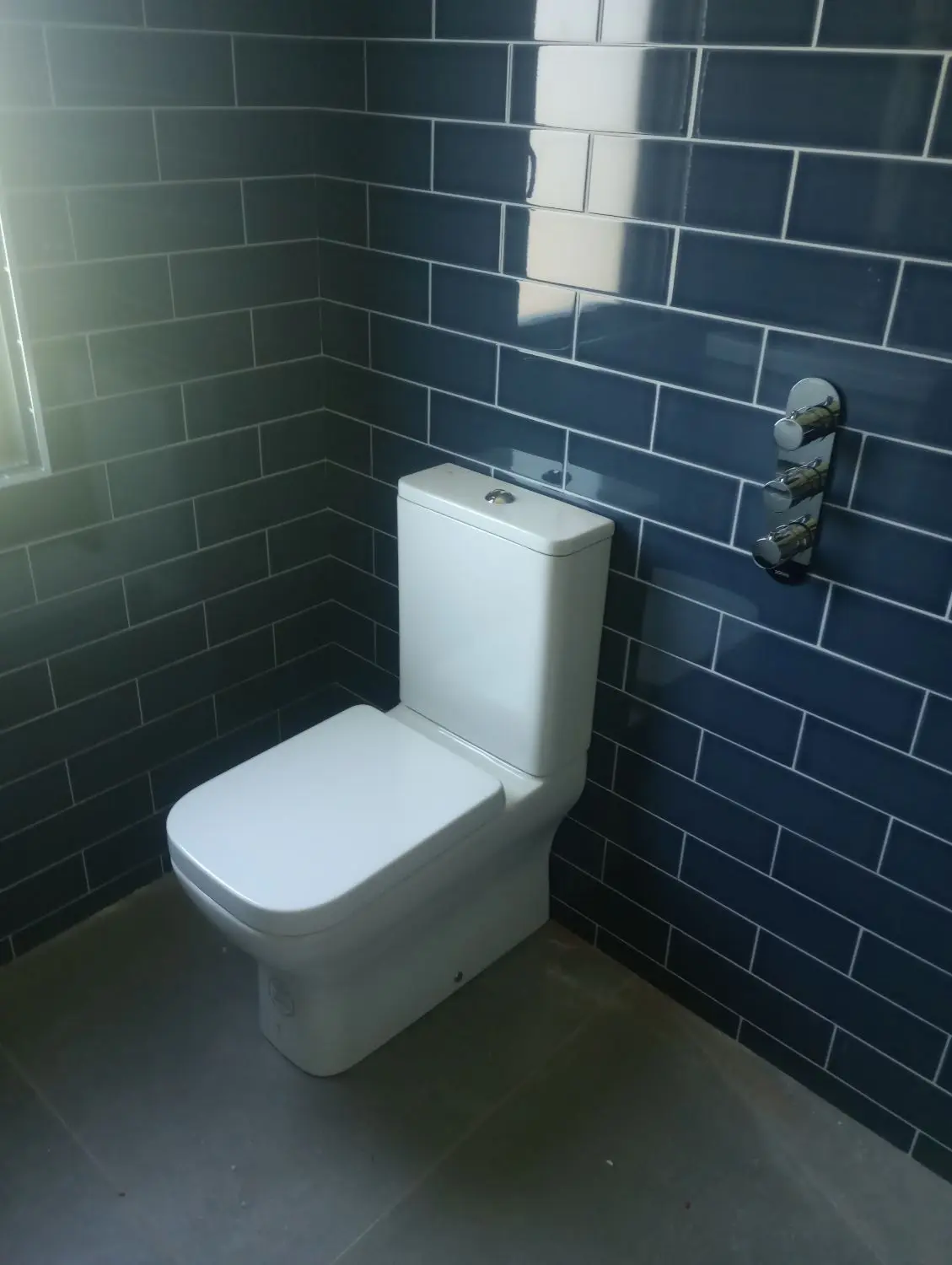 Accessible bathroom toilet and navy tile finish